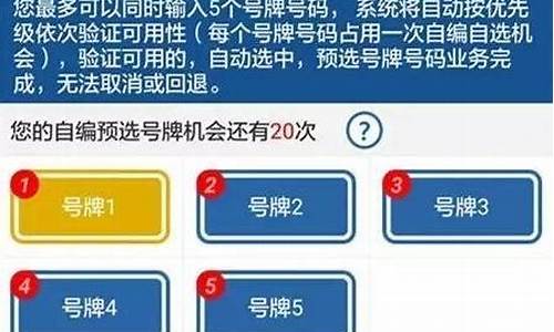 二手车选号多久能查到,二手车选号多久可以拿牌